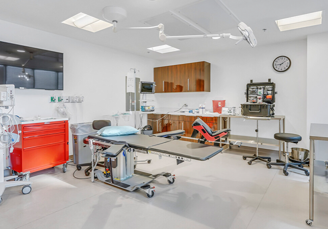 GZP-Blog-How to Negotiate Office Improvements as a Medical Tenant
